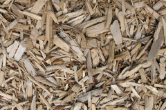 biomass boilers Kitwood